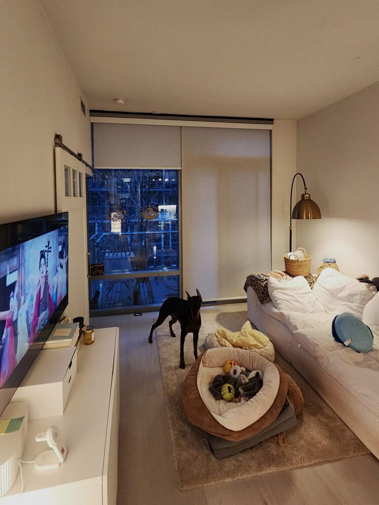 roller blinds indtalled by starlight shutter technicians in a toronto condo living room